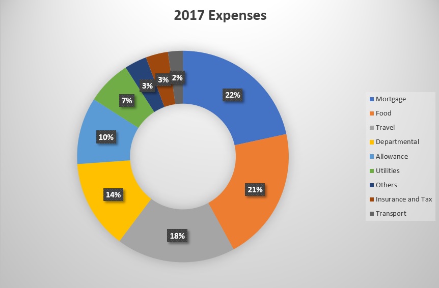 2017 Expenses: Summary And Reflections